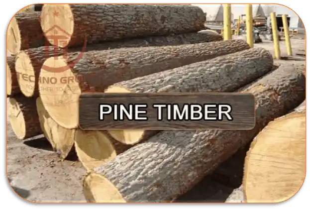 Featured image of our Pine Timber category.